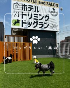 ドッグランのご案内