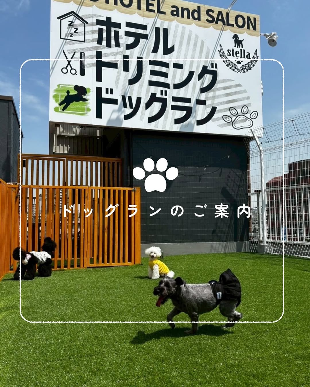 ドッグランのご案内