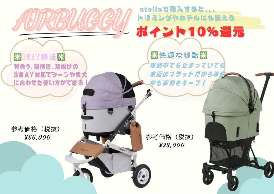 この度ステラでエアバギーのご注文がいただけるようになりました